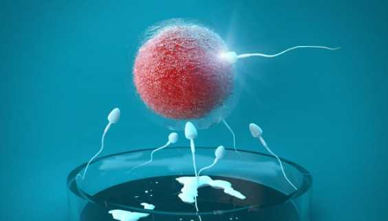 盛京医院试管费用明细，盛京医院做试管要多久出结果？ 