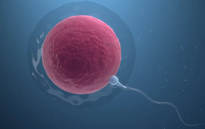 沈阳市妇婴医院做试管婴儿多少钱，沈阳市妇婴医院试管双胞胎要住院吗？ 