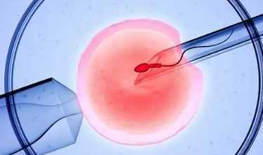 盛京医院生殖医学中心冻胚解冻费用多少，盛京医院生殖医学中心冻胚解冻费用多少？ 