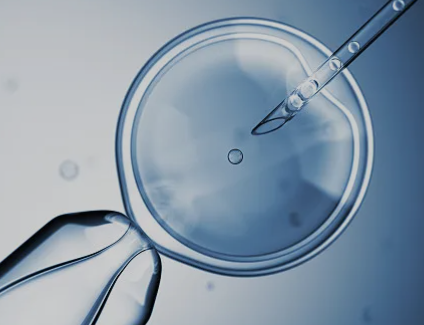 下奶酒酿蛋花汤的做法窍门，下奶酒酿蛋做法大全公布！怎么煮、吃多久一文说清楚