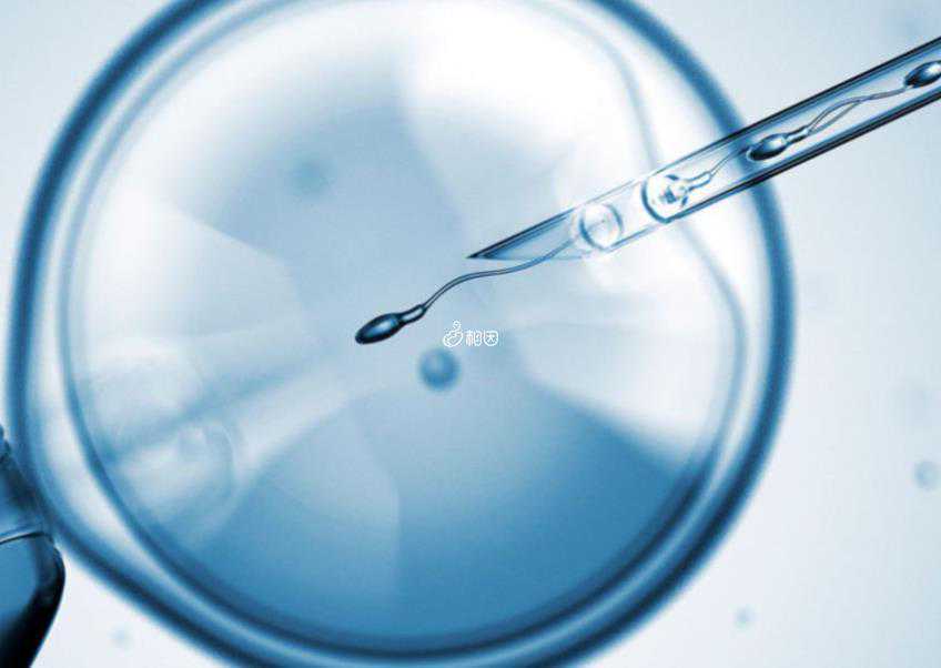 蔡少芬张晋宣布三胎，张晋官宣蔡少芬生三胎，孩子男孩还是女孩引猜测