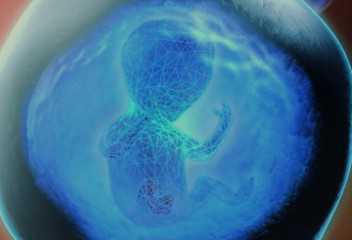 月子餐app排行榜，2025年月子餐排行榜，最受欢迎的前十品牌推荐