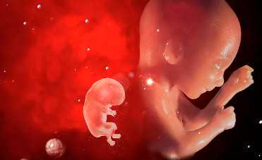 婴儿肚兜的正确穿法，宝宝肚兜的正确穿法图解，简单6个步骤囊括全部流程