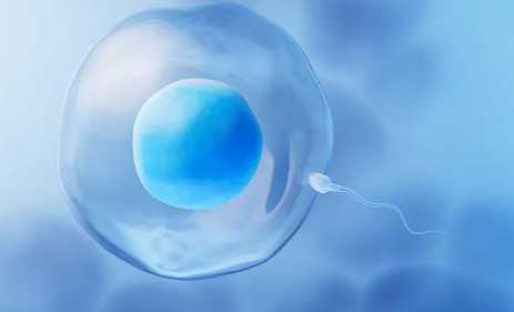 长春市试管婴儿成功率最高的医院，2025长春妇产医院试管婴儿指南，费用及成功率参考