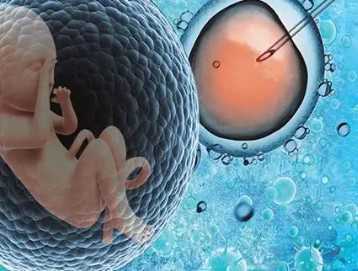 沈阳204医院做人流好不好，沈阳204医院人工受孕多少钱？ 