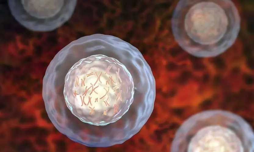 内蒙古人工授精哪个医院好，内蒙古附属医院人工授精费用多少？ 