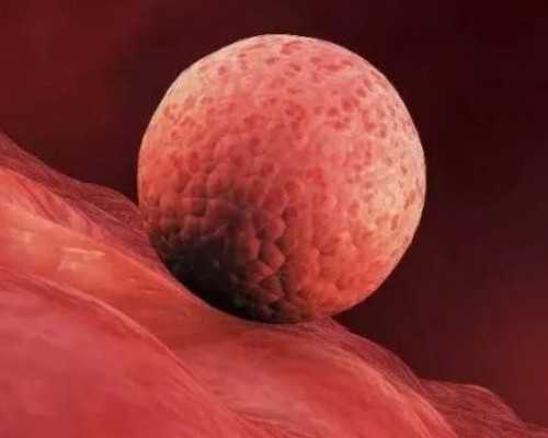 上海仁济供精人授要求，上海仁济医院夫精人工授精促排的流程是什么？ 