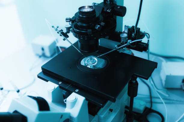 美国试管婴儿哪家医院成功概率高，美国试管婴儿医院排名不靠谱，5个维度助你找到好医院