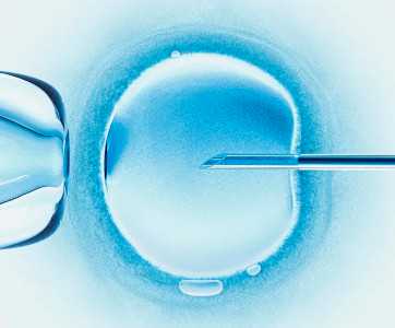 国外冻卵合法吗，日本冻卵VS美国冻卵，孰强孰弱一文知晓