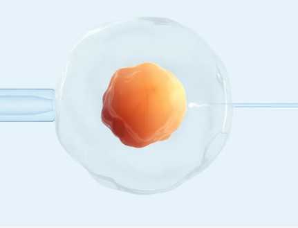 北大试管婴儿服务中心，2025北大医院试管婴儿指南，费用明细、成功率参考