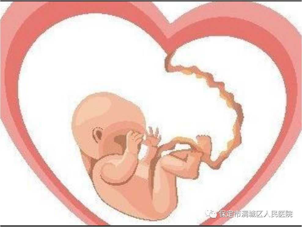 海南省妇幼保健院龙昆南路电话，海南省妇幼保健院