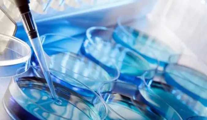 南京妇幼保健院上班时间，南京妇幼保健院