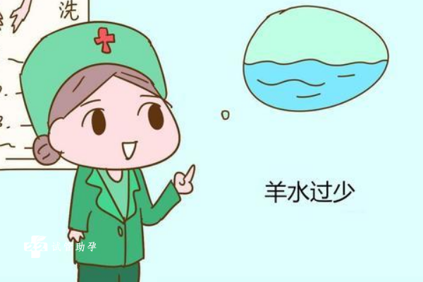 陆军总医院院长，陆军总医院