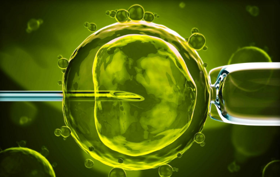 运城能做试管婴儿吗，2025运城试管婴儿医院大全（附助孕成功率排名）