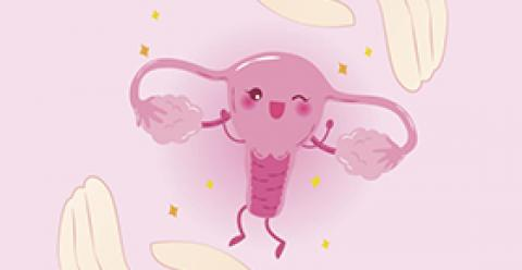 训练赛是啥，2025年训练杯哪个好，十大品牌排行榜推荐