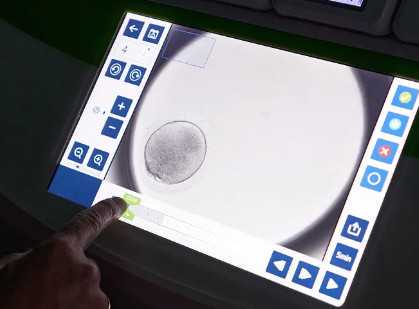 儿童水杯排名第一，2025年儿童水杯排行榜，杯具熊、好孩子均上榜