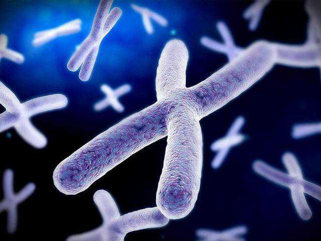 浙江大学医学院附属第一医院官网，浙江大学医学院附属第一医院