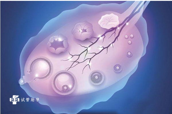 二代试管转成三代试管需要，大坪医院二代试管转三代要多久？ 