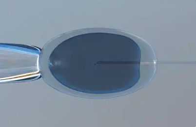 儿童衬衫搭配什么外套好看，2025年儿童衬衫前十名盘点，宝妈最爱买的品牌推荐