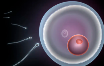 阿sa现任，36岁阿Sa自曝已经完成冻卵，未来不再担心生育问题