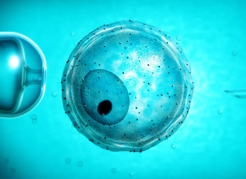 催奶宝茶有副作用吗?，催奶宝下奶茶吃法大公开！正确食用效果立竿见影