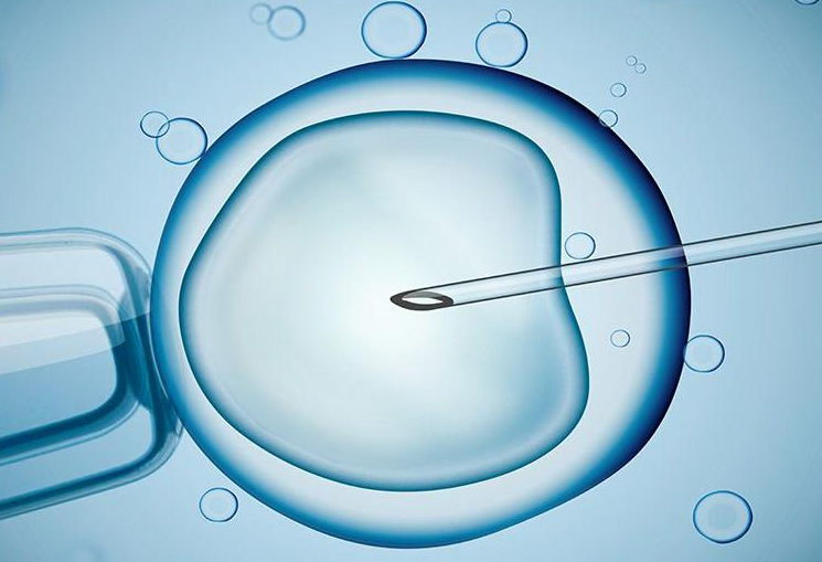 宫颈癌最怕什么食品，宫颈癌最怕4种食物，经常吃彻底远离hpv病毒