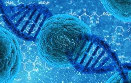 高龄失独母亲试管婴儿，上海58岁失独母亲做试管婴儿：搭上性命的赌注