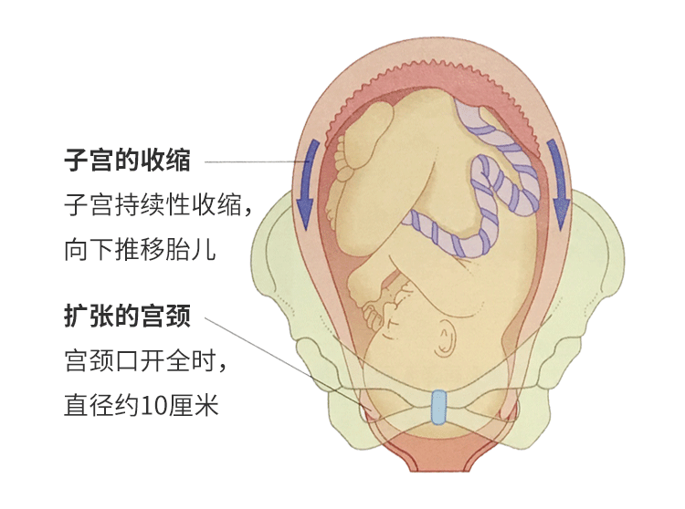 北医三院供精人工授精成功率多少，2025北医三院供精人工授精需要什么材料？ 