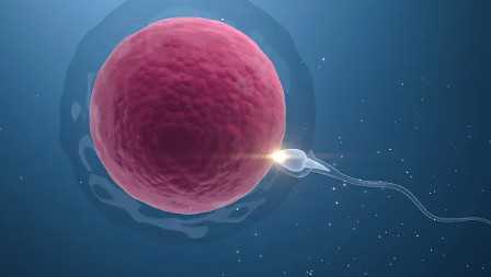 大坪医院辅助生殖中心，大坪医院生殖中心一代转二代试管流程是什么？ 