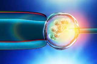 人工授精 北医三院，北医三院供精人授需要之前穿刺取卵的结果吗？ 