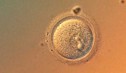 大坪医院试管怎么样，大坪医院生殖科第一例试管婴儿是谁？ 