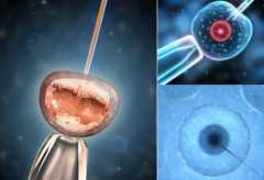 如何定义夜奶，1分钟知晓什么是夜奶，怎么算、几点算一看便知