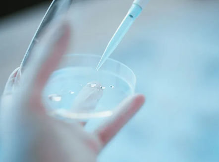 乌克兰试管婴儿的价格，好孕传递!老司机讲述乌克兰MINI医院试管婴儿经历