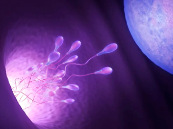 志玲姐姐是谁，志玲姐姐冻卵15颗，面临的3大风险少有人知！