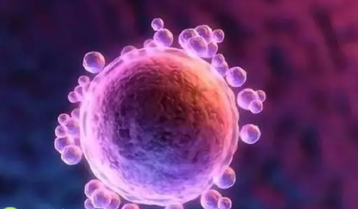 美国试管婴儿医院，海外就医小白必看！美国拉霍亚试管婴儿中心防骗指南