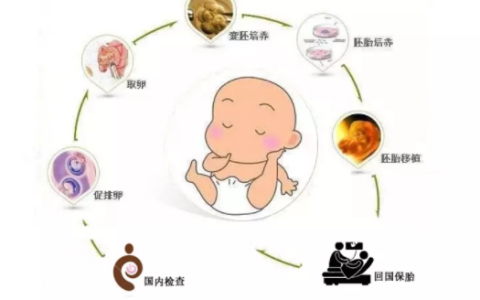 暖奶器哪种好用，2025年暖奶器前十名揭晓，3分钟了解哪个牌子最好