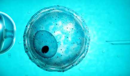 儿童乐器哪个比较容易入门，2025年乐器排行榜，适合宝宝的十大品牌新鲜出炉