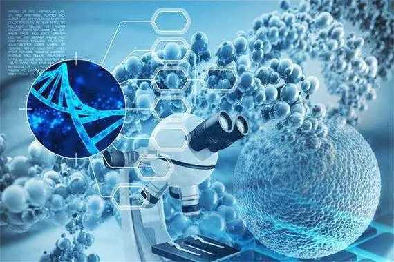 2029模型，2025年模型玩具前十名大盘点，最受欢迎品牌出炉