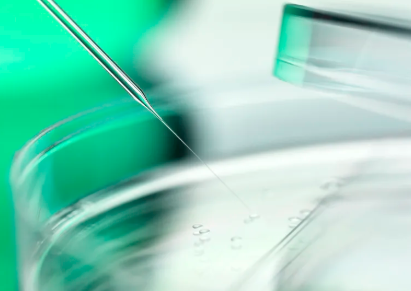 宁波第一人民医院院长，宁波第一人民医院