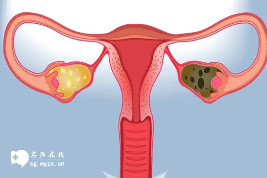 出生证是怎么样，新妈妈不知道出生证是什么样子？看完这张图片恍然大悟
