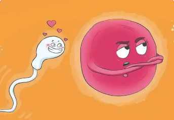 验孕棒一深一浅怎么说，未必是怀孕！超详细图解揭秘验孕棒一深一浅的4种情况