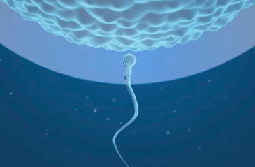 hrc试管婴儿，划重点！HRC生育中心不同年龄段试管成功率看这里