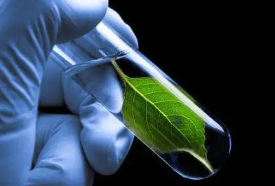 美国scrc生殖中心介绍，美国SCRC医院的高成功率低价套餐是不是骗局? 