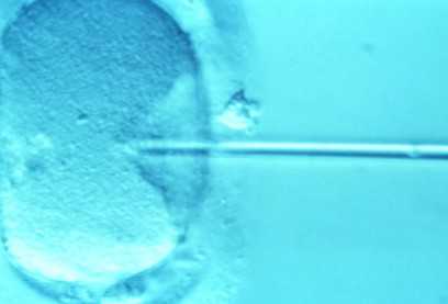 君乐宝优萃奶粉怎么样?，君乐宝优萃奶粉优点对比缺点，看完就知道值不值得买