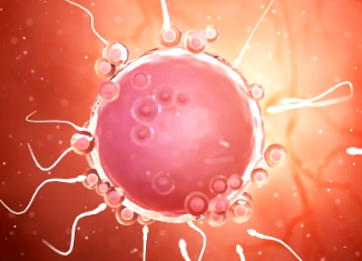 君乐宝优萃奶粉怎么样?，君乐宝优萃奶粉优点对比缺点，看完就知道值不值得买