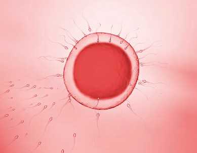 促排卵针取卵的副作用，重庆市妇幼促排取卵能打局部麻药吗？