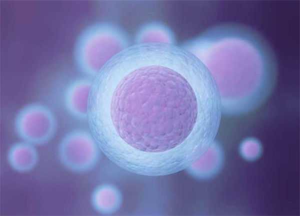 西北妇幼试管婴儿咋样，2025西北妇幼试管婴儿导航（附费用及成功率）