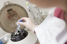 出生证的样本，新妈妈不知道出生证是什么样子？看完这张图片恍然大悟