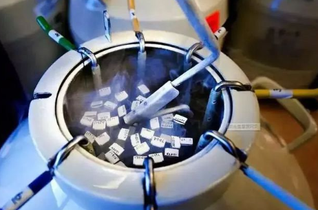 子宫脱垂的概念及发病原因，一文科普什么是子宫脱垂，原因、症状治疗一览无余