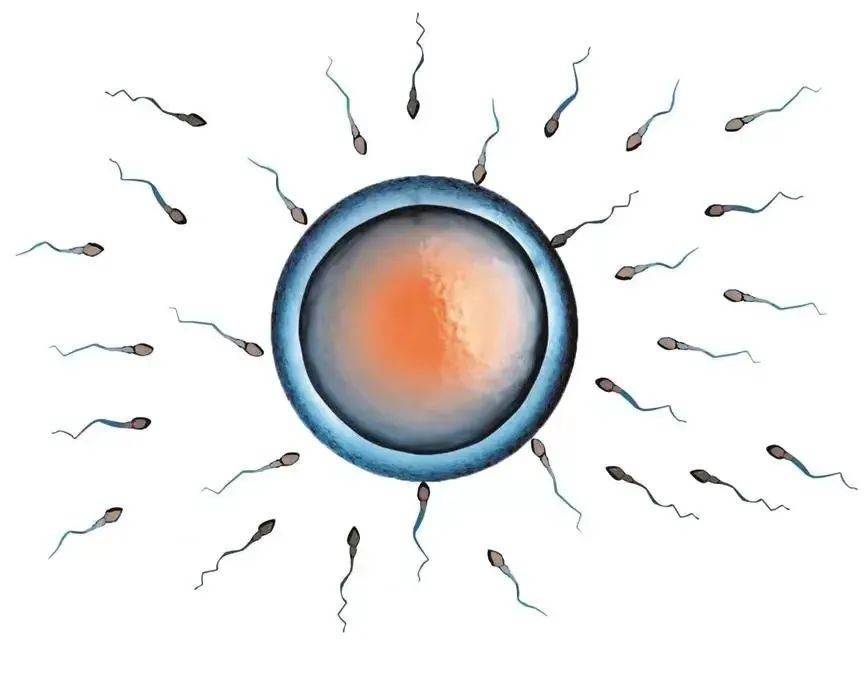 阿里阿拉特五世，阿里特拉维达医院